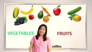 Classifying Familiar Words or Objects into Basic Categories (Grade 1 English Quarter 4 Week 3)
