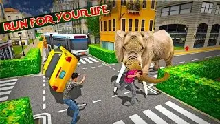 Elephant vs Dog Zebra | Elephant Attack City Rampage | Animal Gameplay | Hannu Games