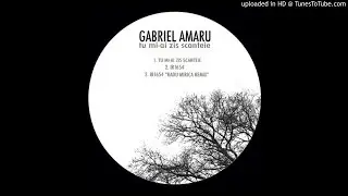 Gabriel Amaru - Tu Mi-ai zis Scanteie (Original Mix)