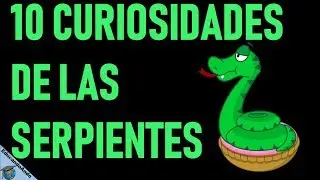 10 Datos Curiosos de las Serpientes