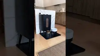 #pet #petlover #petbonding #fyp #tiktok #cat #dog