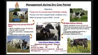 Tropical small-large scale dairy farm management: Virote Patarajinda