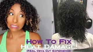 How To Fix Heat Damaged Curls w/ a DEVA CUT! | BiancaReneeToday