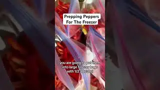 This hack will save you money (and time) this winter! #freezer #hack #tipsandtricks #recipe #food