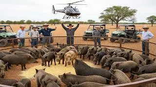 Wie Jager Pro nach Hurrikan Helene Millionen Wildschweine einfing