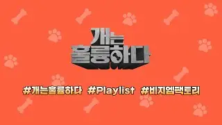 [Playlist] 개는 훌륭하다에 쓰인 음악! 재밌고 귀여운 엉뚱한 음악과 신비한 환상의 동화같은 음악까지!!🎵 🐶강아지, 고양이 브이로그 음악으로 추천!😸