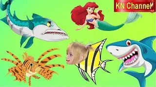 THỬ THÁCH LÀM CÁ THIÊN THẦN | REVIEW GAME TRÒ CHƠI KN Channel