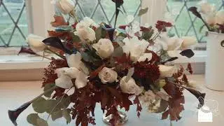 Botany and Bloom 1