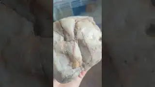 huge milky quartz 🤍 #healingstones