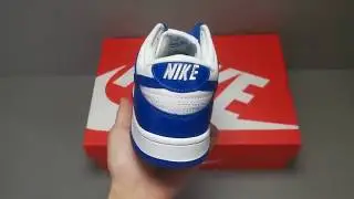NIKE DUNK LOW SP CU1726-100