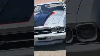 @thezareefboys  69 chevelle is 🤌🏿 cleeeeeeeeeean!! #chevelle  #classiccars #supercharged #protouring