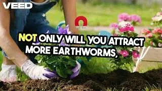 🌱 Quick Tip to Boost Earthworm Population Naturally! 🪱 | Organic Soil Health Hack 🌾