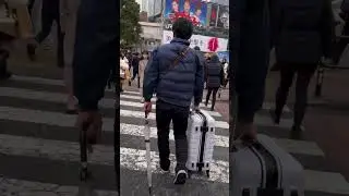#shibuyacrossing #experiencecounts #safetravels #walkingvideos #walkwalkwalk #traveltravel
