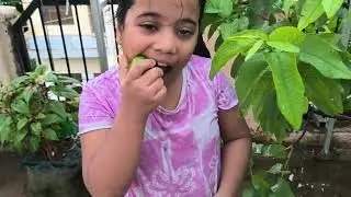   SHOOT VLOG ☔☔rain #Angel Sharma #youtube #vlog