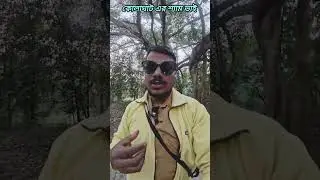 পশ্চিম মেদিনীপুর চাইপাট এর বাদুর বাগান