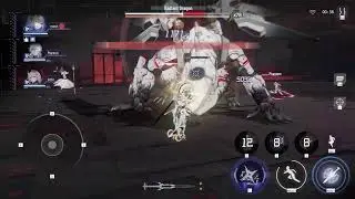 [Punishing: Gray Raven]
