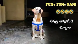 నవ్వు ఆపుకోండి చూద్దాం | Gani +Sandy = Fun 🤣 | @upendragani