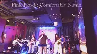 Pink Floyd : Comfortably Numb @gigabar Tokyo