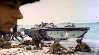 LVT and tank destroyer arrive on a beach Eniwetok Atoll, Marshall Islands during ...HD Stock Footage