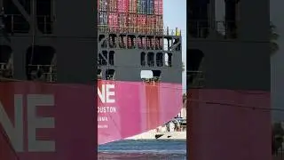 ONE Container Ship Arrival