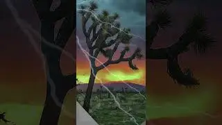 Monsoon Awareness Week: Lightning Myth #2  #Shorts