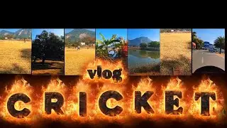 Cricket match blog 🤫🤯🔥#trending #shorts #vloging# Mini vlogs #viral