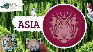 Zoo tours ita: ASIA| PARCO NATURA VIVA *turn on english subtitles*