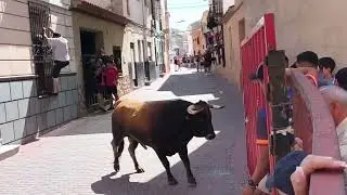 TERCER ENCIERRO SOCOVOS (ALBACETE) 10/08/2025