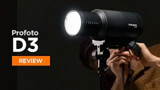 PROFOTO D3 un cavallo da battaglia nel tuo studio
