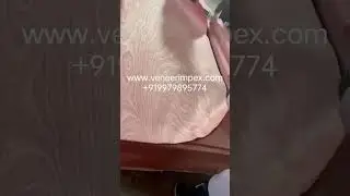 #faceveneer  veneer Sapeli