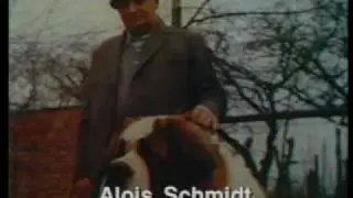 LA STORIA DEL SAN BERNARDO