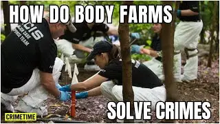 A forensic cemetery