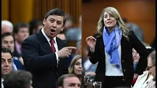 CAUGHT ON CAMERA: MP Michael Chong grills Melanie Joly