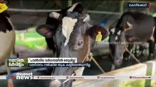 പാൽവില കൂടിയിട്ടും ക്ഷീരകർഷകർക്ക് മെച്ചമില്ല | Milma Milk Price Hike | Dairy Farmers