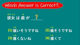 Какой ОТВЕТ ПРАВИЛЬНЫЙ? - ТЕСТ НА СЛОВАРНЫЙ ЗАПАС JLPT