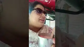 The Heart of Punjab: Amritsar Vlog Finale