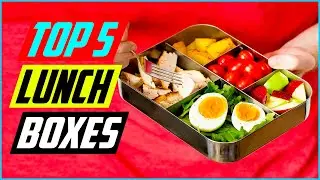 Top 5 Best Bento Lunch Boxes In 2022