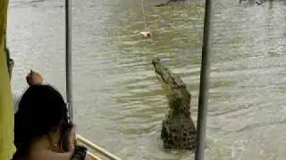 Jumping Crocodiles