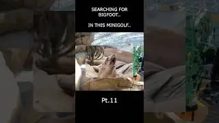 Bigfoot knows how to golf?!  #funny #funnyvideo #funnyshorts #minigolf #minivlog #shorts