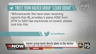 Implications of the Lizard Squad