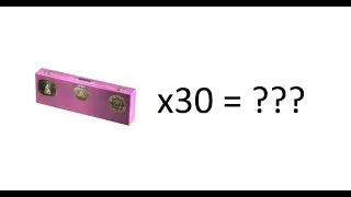 What can get from 30 x Budapest 2025 Dust 2 Souvenir Cases? - CS2
