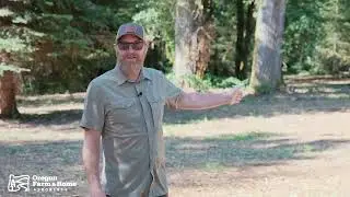 3 Buildable Lots | 0 Matheny Road