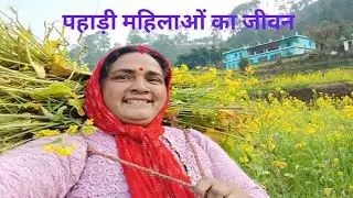 घास लकड़ी चूल्हा चौका में ही गुजर जाता है🌿 @कमलानेगीदेवभूमिउत्तराखंड