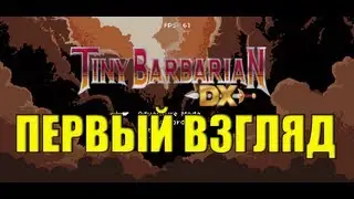 Первый взгляд. Tiny Barbarian DX