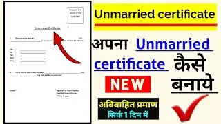 Unmarried certificate kaise banaye, how to make unmarried certificate 2022