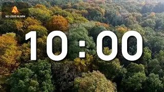 10 Minute Timer | Calm Music for Relaxing, Study & Focus | No Alarm