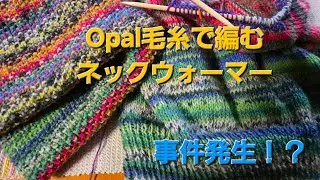 コツコツとハンドメイド handmade👐arisu Opal毛糸でネックウォーマー作成 事件発生！？    