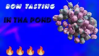 BOM 💣💣😨🔥 TESTING IN THA POND|testing experiment|new |trending experiment