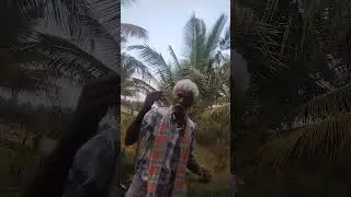 ಹಿರಿಯ ಗೆಳೆಯ ಮಹದೇವಣ್ಣ  ಹೇಳಿದ ನನ್ನ ತಂದೆ ಶಿವಣ್ಣ ಅವರ  ವಿಚಾರಗಳು ನಮ್ಮ ಪ್ರದೇಶದಲ್ಲಿ ಬೆಳೆಯುವ ಬೆಳೆಗಳ ವಿವರ 