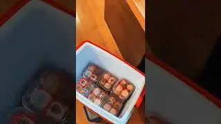 como vender 60 bandejas de brigadeiros gourmet em 4 horas #brigadeiro #gourmet #brigadeirogourmet
